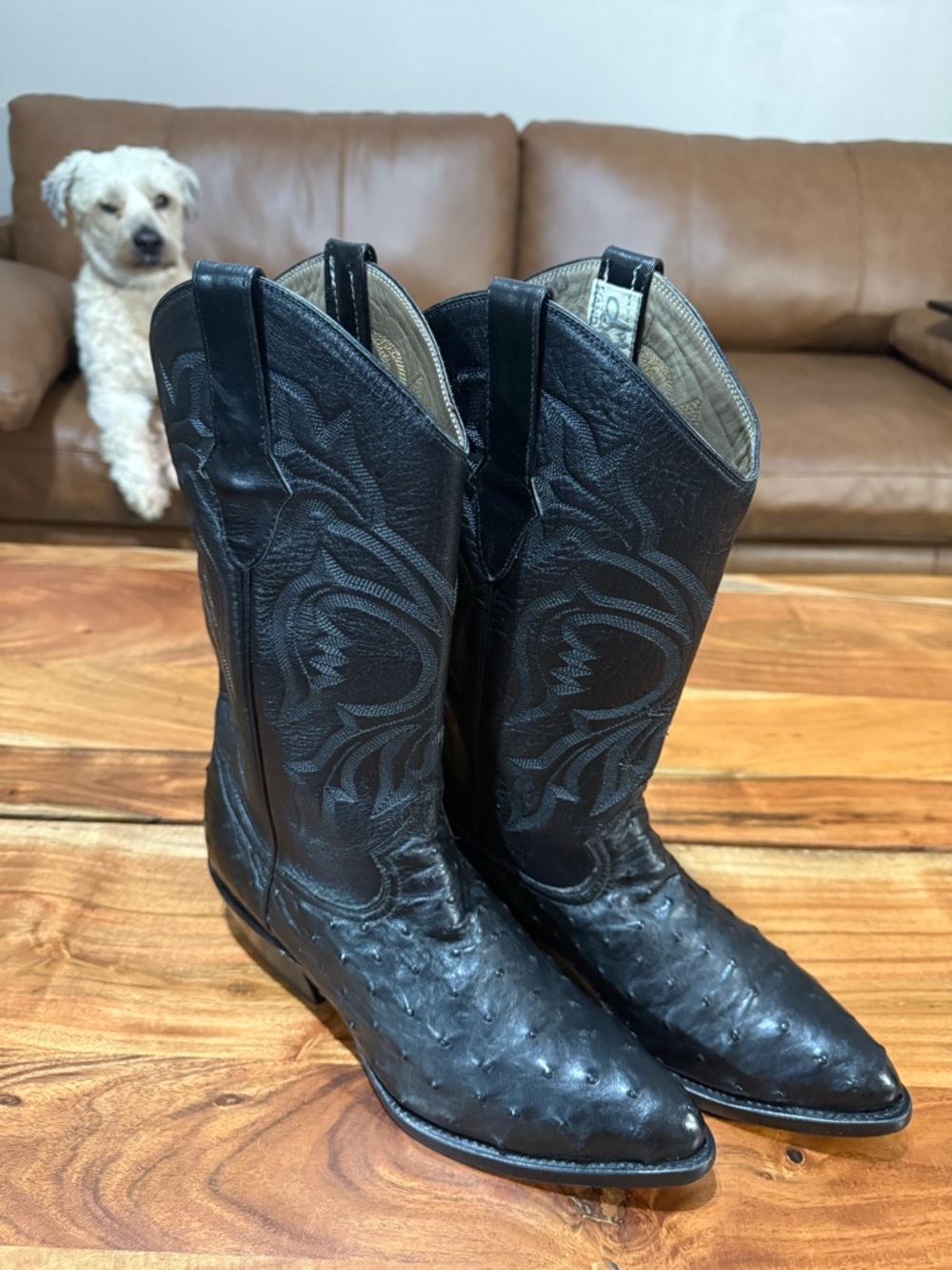 Max Leather Full Quill Ostrich Western Cowboy Boots Men’s Size 9-1/2 D EUC